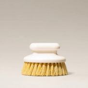 Body Dry Brush
