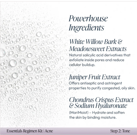 Acne Essentials Regimen Kit
