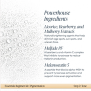 Pigmentation Essentials Regimen Kit