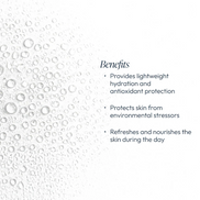 Blueberry & White Tea Hydrating Mist